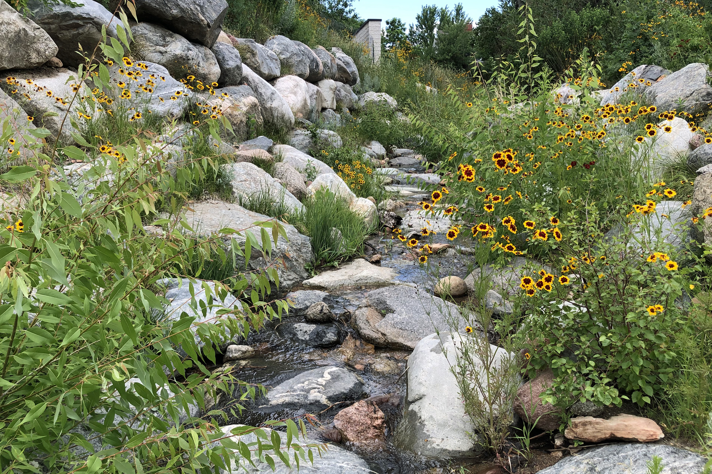 Sunshine Creek Restoration Banner