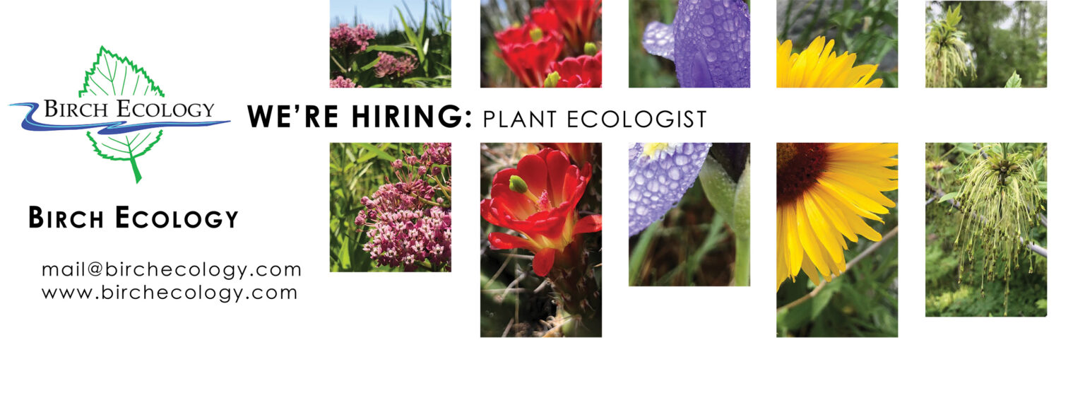 We're Hiring Plant Ecologist Birch Ecology